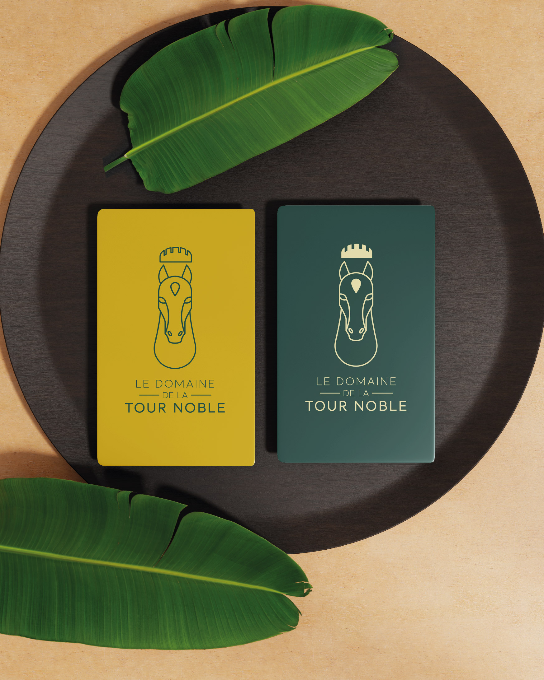 Logo Domaine de la Tour Noble
